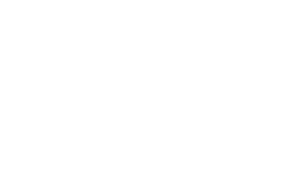1001 questions sur le Maroc